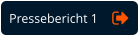 Pressebericht 1