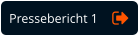 Pressebericht 1