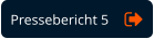 Pressebericht 5