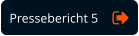 Pressebericht 5