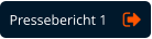 Pressebericht 1