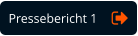Pressebericht 1