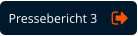 Pressebericht 3