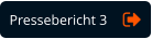 Pressebericht 3