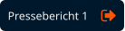 Pressebericht 1