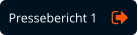 Pressebericht 1