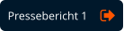 Pressebericht 1