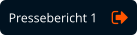 Pressebericht 1